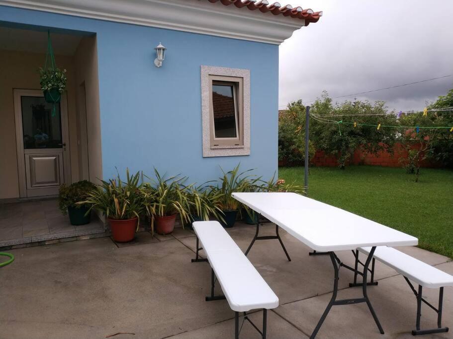 Maison Proche De La Mer Murtosa Екстериор снимка